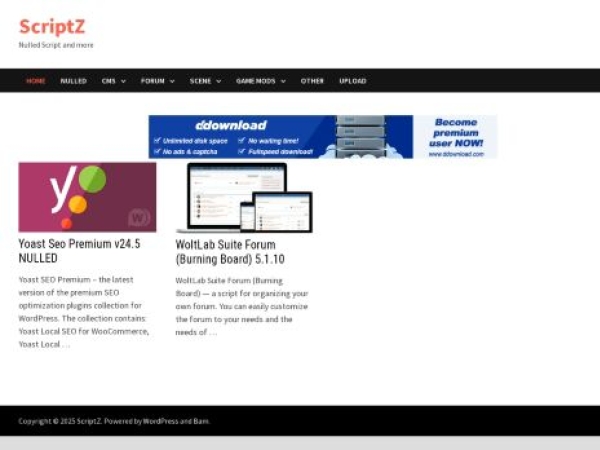 scriptz.to